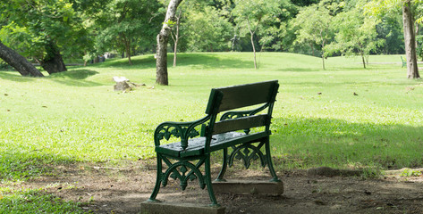 Green park at Vachirabenjatas Park (Rot Fai Park) Bangkok, Thailand