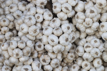 garlic pile on market for background