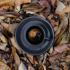 coffee on the dry leaves.
