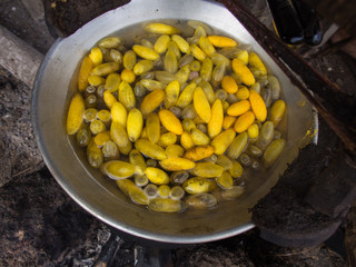 The Traditional of Sericulture