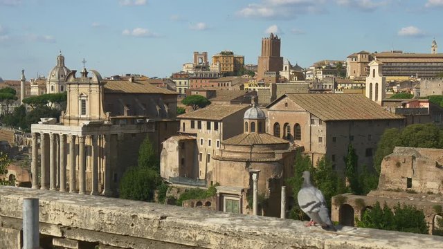 summer day time rome city roman forum cityscape pigeon panorama 4k italy
