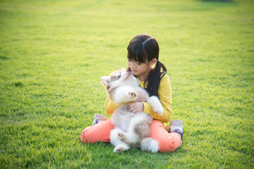 asian girl playing with siberian husky puppy