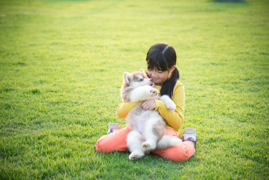 asian girl playing with siberian husky puppy