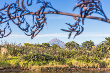 View of Mount Taranaki through New Zealand flax stalk
