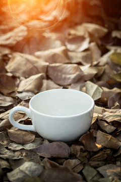 Blank white coffee cup on dry leaves.