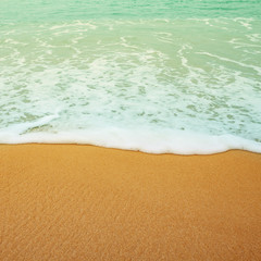 Wave on the sandy beach