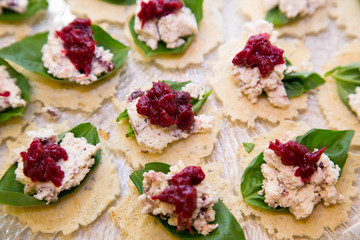 cranberry and goat cheese appetizer