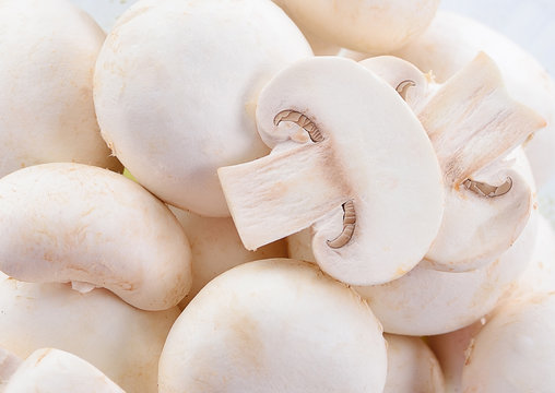 Champignon Isolated on Background