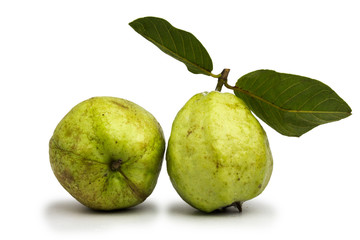 Guava green on a white background.