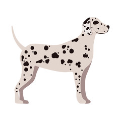 cute dalmatian dog animal icon over white background. side view. vector illustration