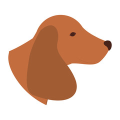 cute dachshund dog animal icon over white background. vector illustration
