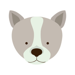 cute schnauzer  dog animal icon over white background. vector illustration