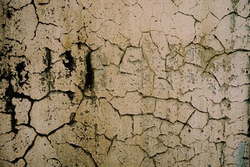 abstract old paint wall