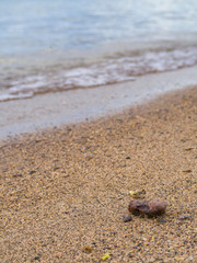 Einsam am Strand
