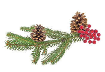 Christmas decorations on a white background