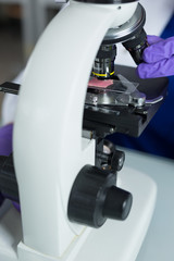close-up of scientist hands with microscope, examining samples