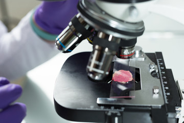 close-up of scientist hands with microscope, examining samples