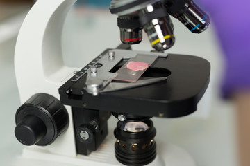 Fototapeta na wymiar close-up of scientist hands with microscope, examining samples a