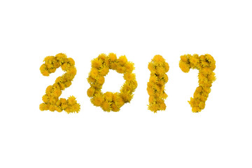Inscription 2017 made of yellow dandelions on a white background. Isolated