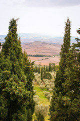 Fototapeta premium tuscan landscape of val d'orcia at sunset 