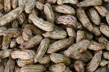 Fototapeta premium Peanuts in their shell to boil textured food background.