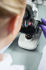 Female researcher using her microscope in a laboratory