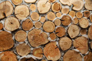 Wood, Logs background

