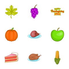 Autumn festival icons set. Cartoon illustration of 9 autumn festival vector icons for web