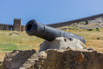 Old cannon on the background of the fortress. Medieval fortress.