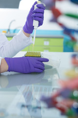 laboratory assistant analyzing a sample