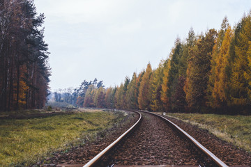 Obraz premium Autumn in Poland