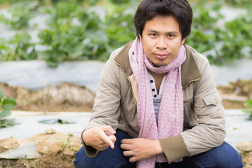 Asia man in  strawberry farm
