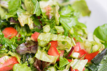 Salad with greens and tomatoes