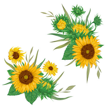 Sunflowers set. Collection decorative floral design elements for wedding invitations and birthday cards. Isolated elements. Vintage hand drawn vector illustration in watercolor style.