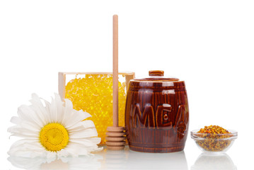 Barrel honey, honeycomb, pollen bowl, wooden ladle and camomile isolated.