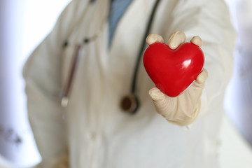 heart in doctor hand
