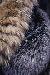 Natural fur close up.