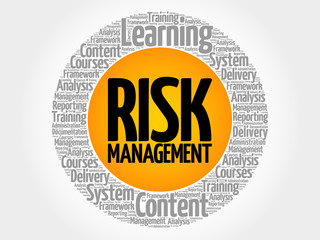 Risk Management circle word cloud, business concept