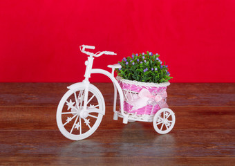 Interior bicycle with flowers