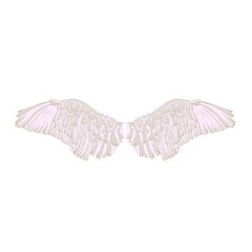 лебединые крылья на белом фоне, векторная иллюстрация