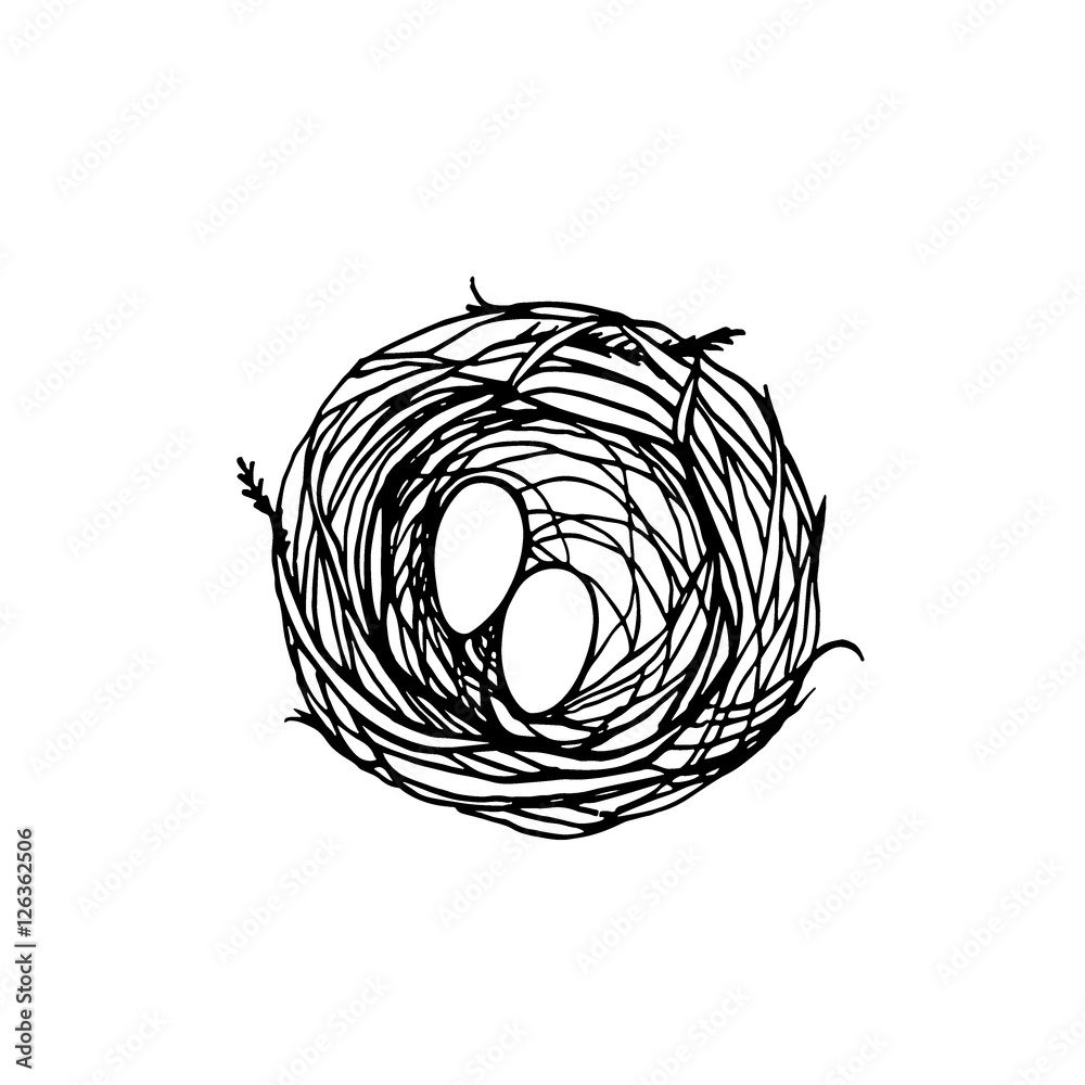 Wall mural Hand drawn nest illustration