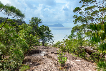 Fototapeta na wymiar Telok padan kecil Cliff in Bako National Park