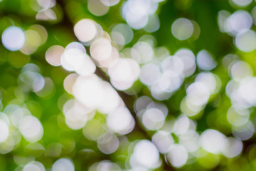 Obraz premium blurred tree leaves, beautiful colorful bokeh, bokeh from the blurred tree leaves, tree leaves out of focus, light, dark, darkness brightness, out of focus.
