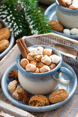 spicy cocoa with marshmallows, cinnamon and cookies 
