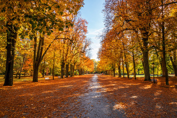Kurpark  Bad Homburg