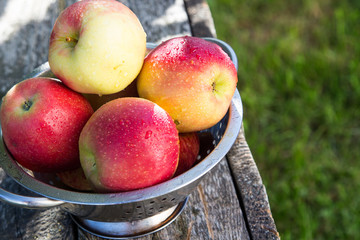 ripe apples in basket on rustic table. red autumn apples