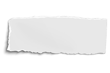 Obraz premium White vector oblong paper tear isolated