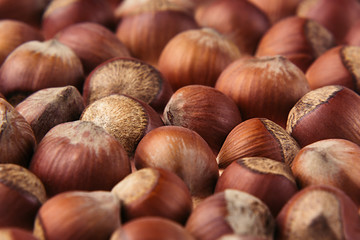 Hazelnut background. Pile of selected hazel close-up. For vegetarians.
