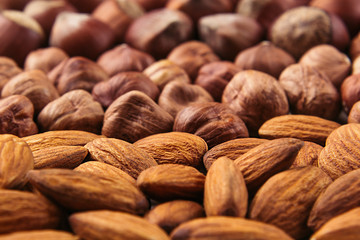 Nut background of different nuts - almond, hazelnut and kernel close-up.  Vegetarian background.