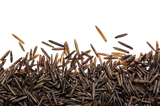Border of black rice close-up  on white background. Isolated. Decorative frame of wild brown unpolished rice.